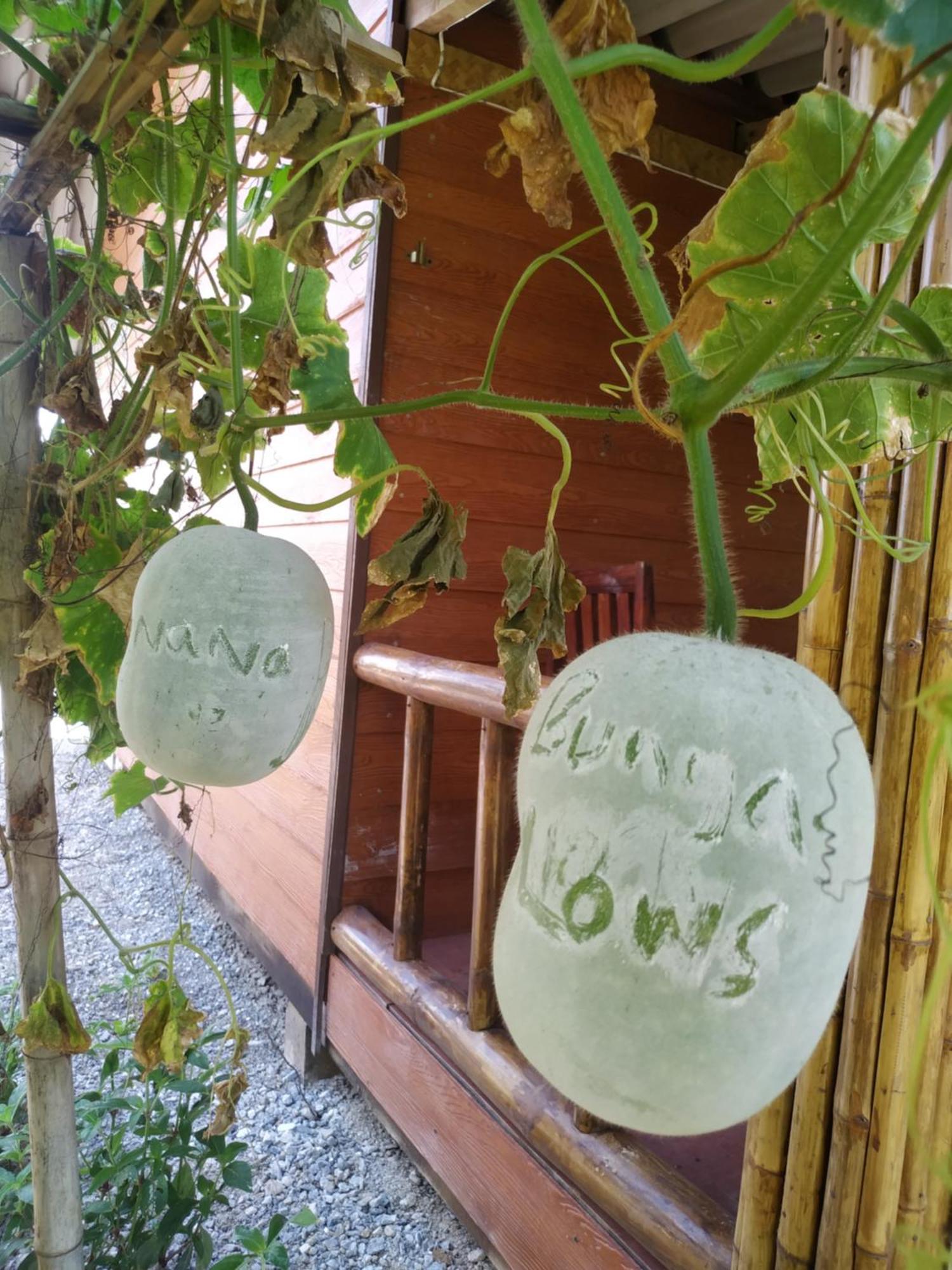 Nana Bungalows Ban Tan 객실 사진